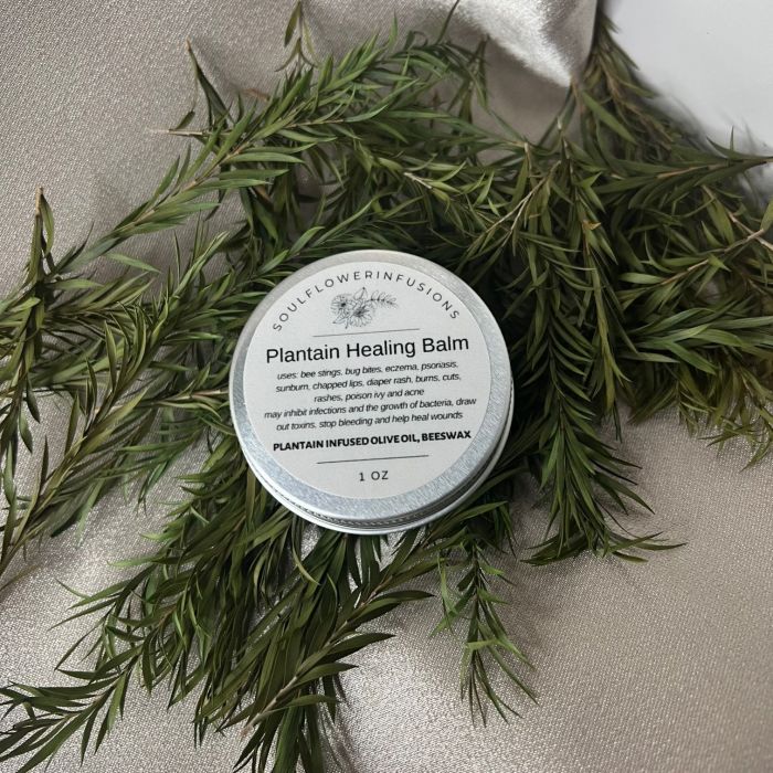 Plantain Healing Balm